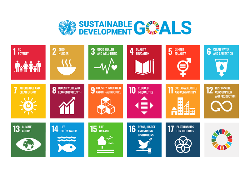 SDG graphic